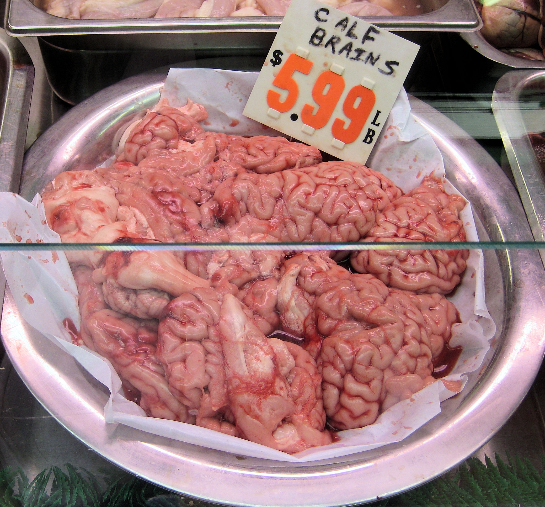 Halal Brain